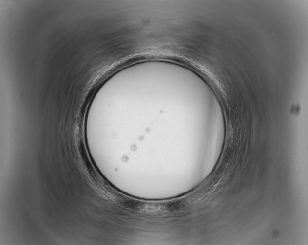 X0000100350487200806060804