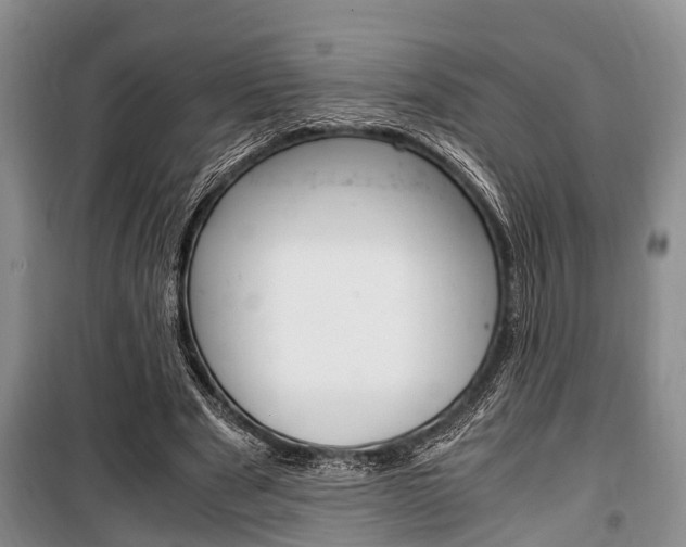 X0000100350489200806060803