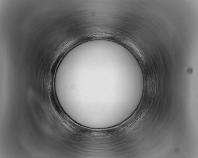 X0000100350490200806060803