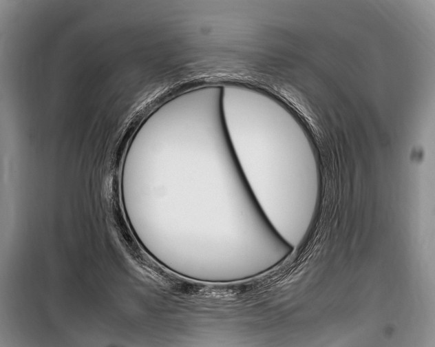 X0000100350491200806060803