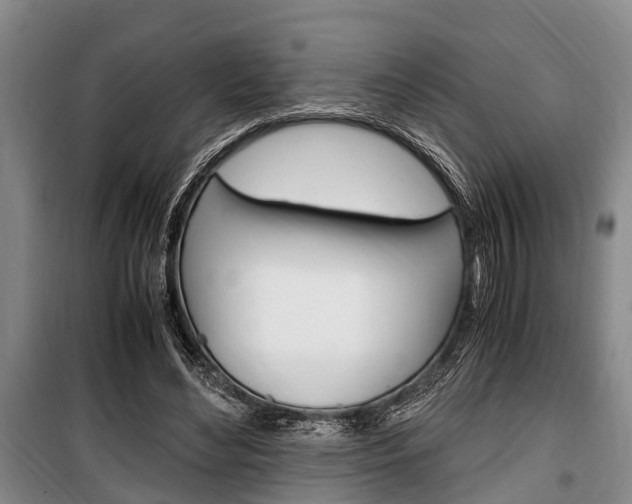 X0000100350492200806060803