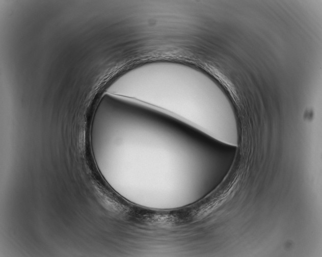 X0000100350493200806060803