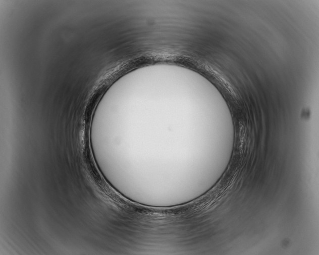 X0000100350494200806060803