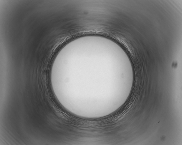 X0000100350495200806060803