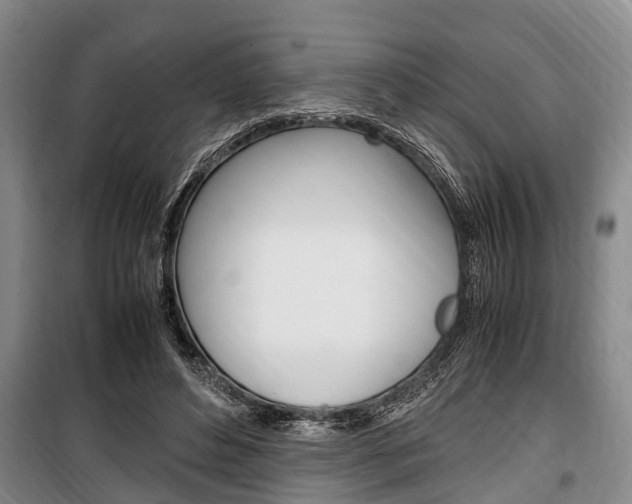 X0000100350496200806060803