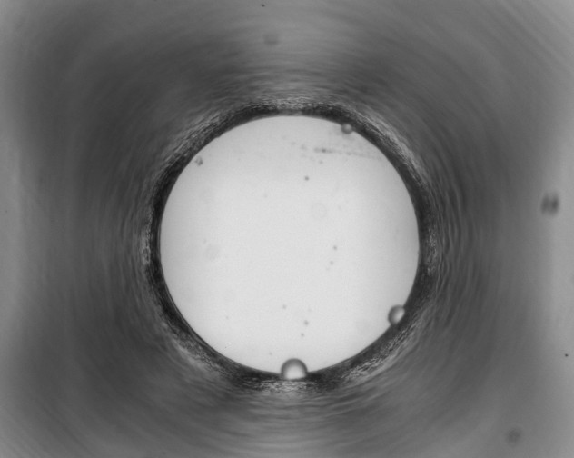 X0000100350497200806060803