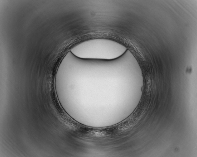 X0000100350498200806060803