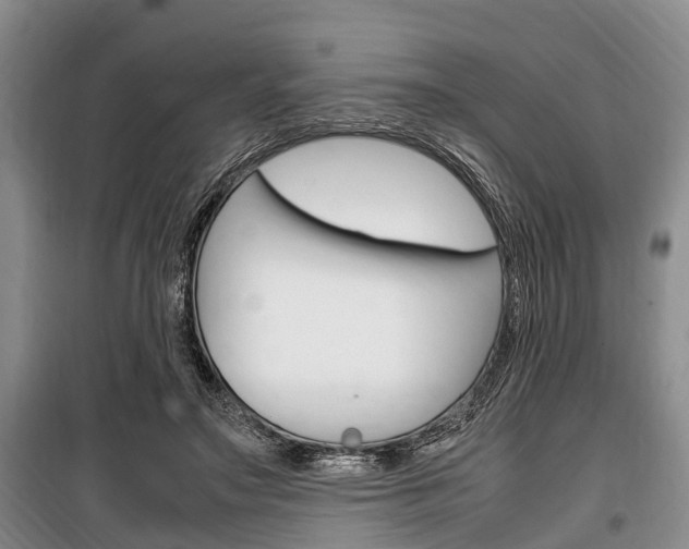 X0000100350499200806060803