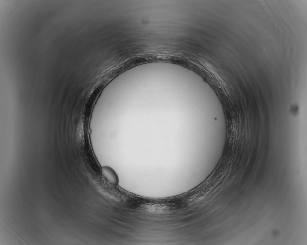 X0000100350500200806060803