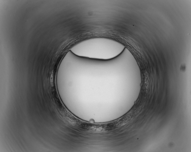 X0000100350502200806060803