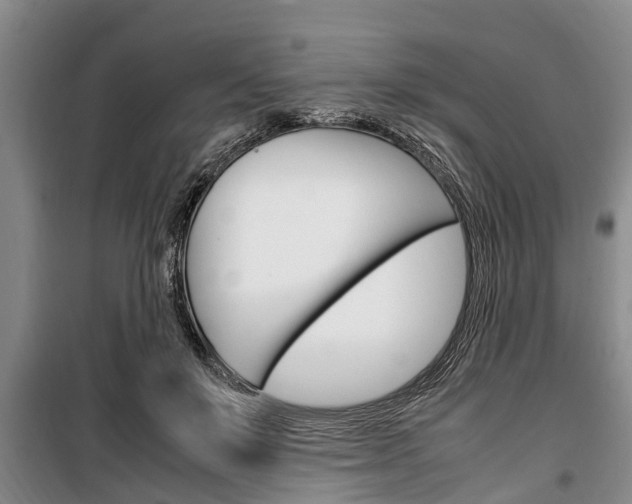 X0000100350503200806060803