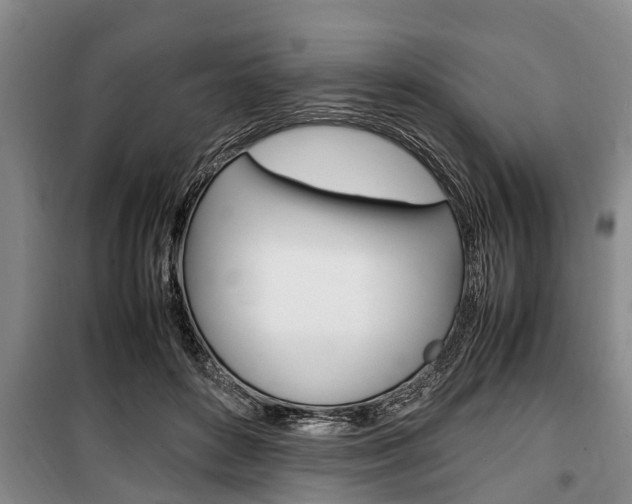 X0000100350504200806060803
