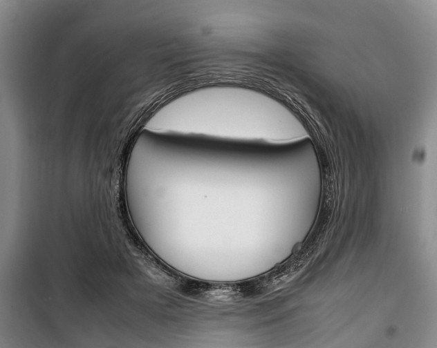 X0000100350505200806060803