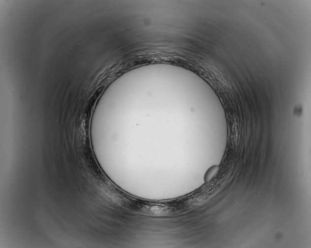 X0000100350506200806060803