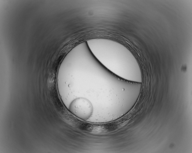 X0000100350507200806060803