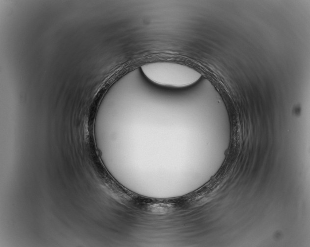 X0000100350508200806060803
