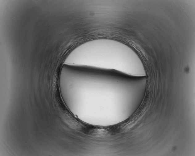 X0000100350509200806060803