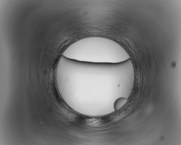 X0000100350511200806060803