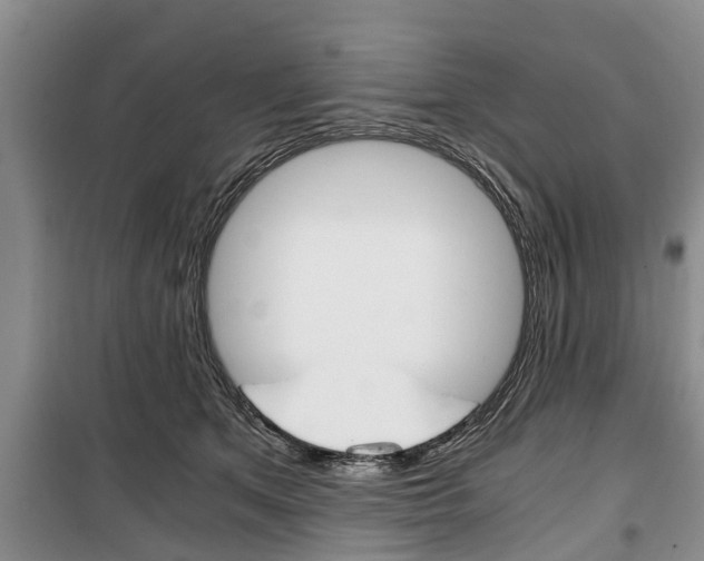 X0000100350513200806060803