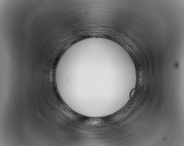 X0000100350514200806060803