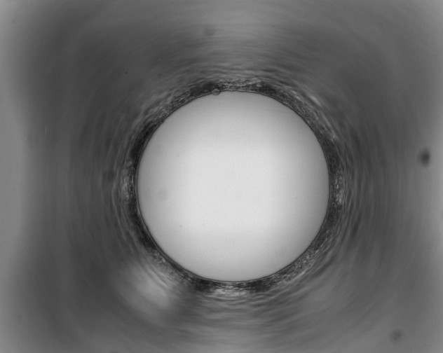 X0000100350515200806060803