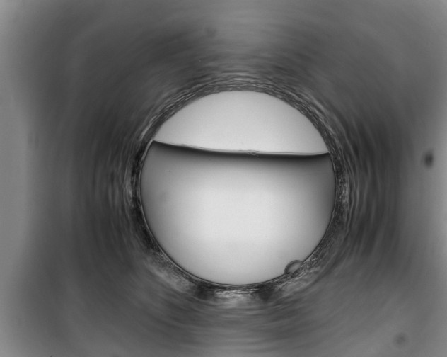 X0000100350516200806060803