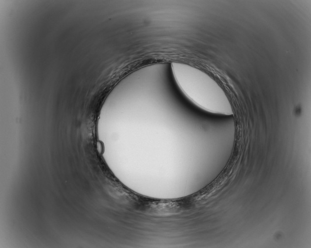X0000100350517200806060803