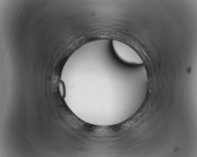 X0000100350521200806060803