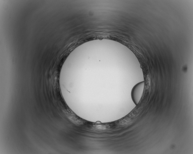 X0000100350522200806060803