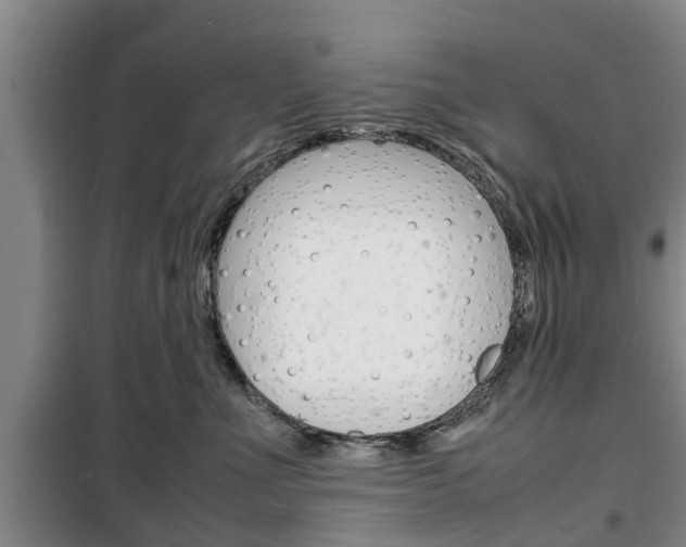X0000100350523200806060803