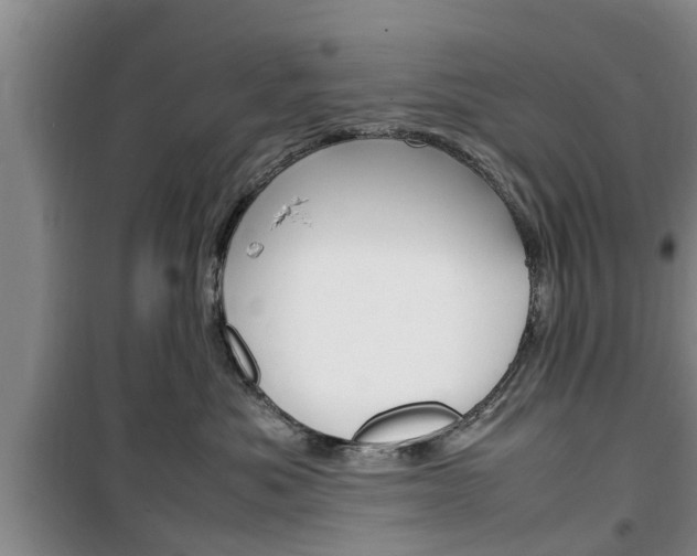 X0000100350525200806060803