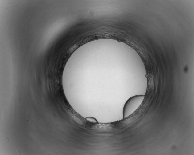 X0000100350526200806060803