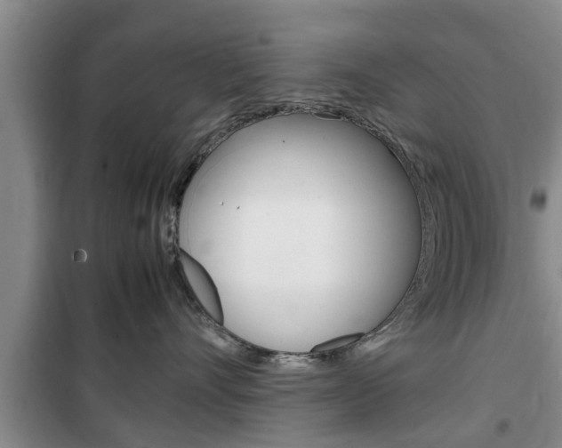 X0000100350528200806060803