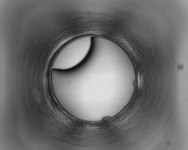 X0000100350531200806060802