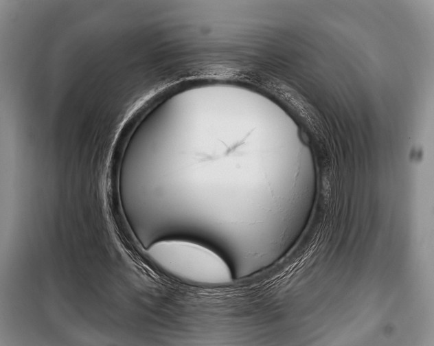 X0000100350532200806060802
