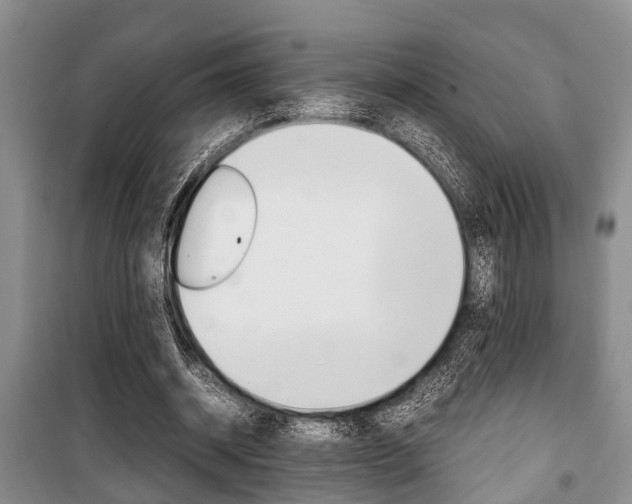 X0000100350534200806060802