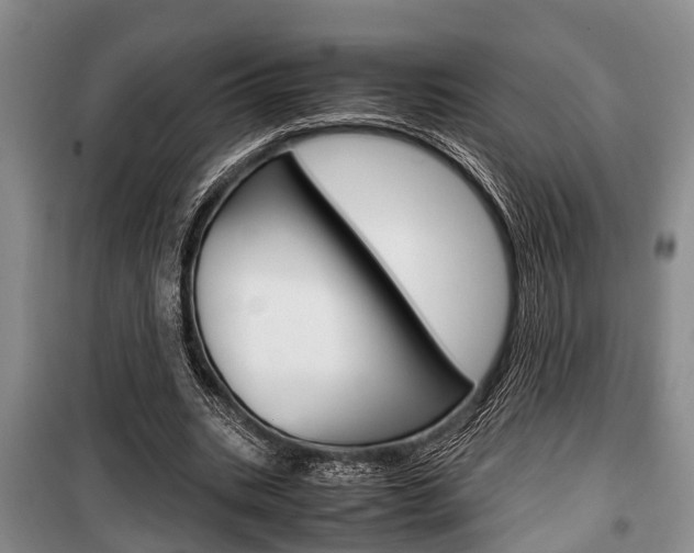 X0000100350535200806060802