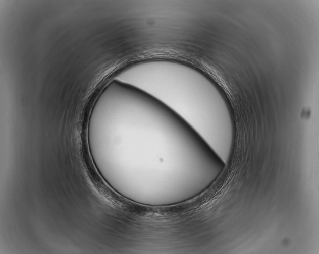 X0000100350538200806060802