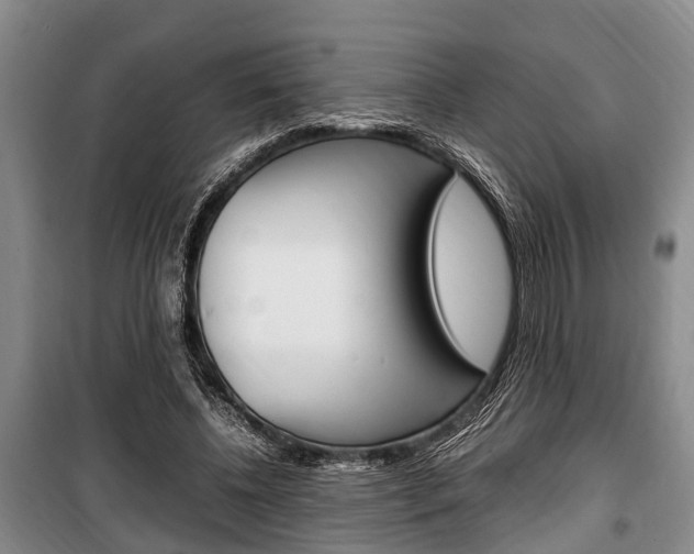 X0000100350540200806060802