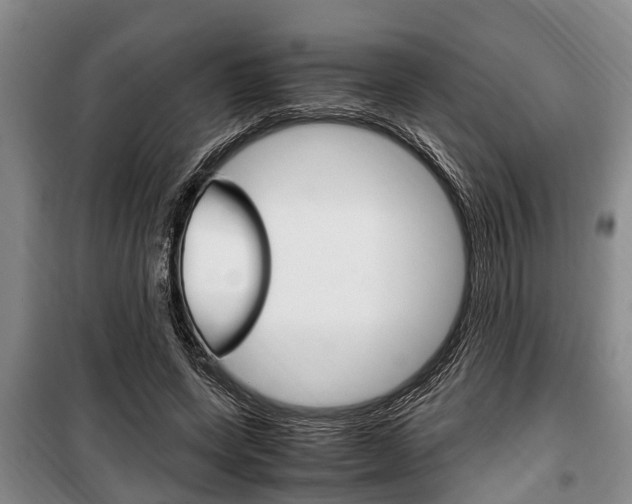 X0000100350543200806060802