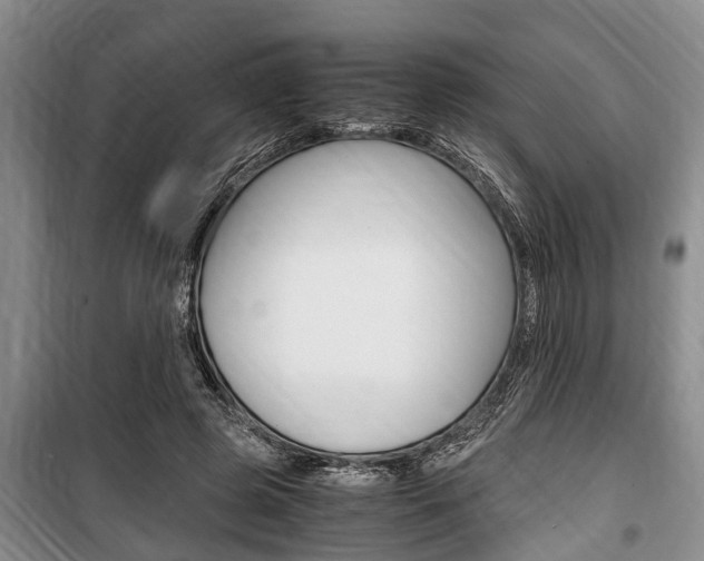 X0000100350545200806060802