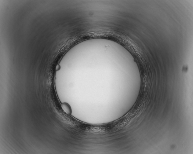 X0000100350546200806060803