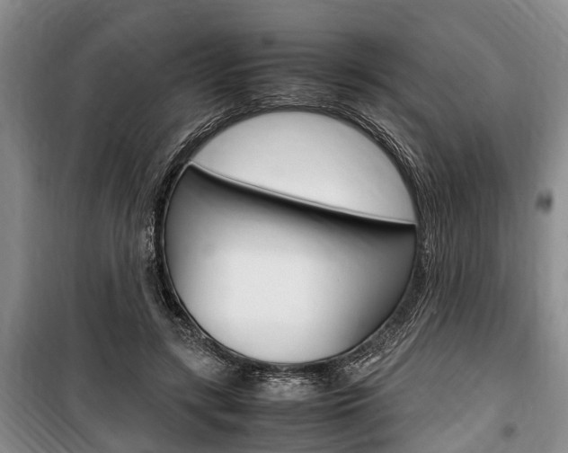 X0000100350547200806060803