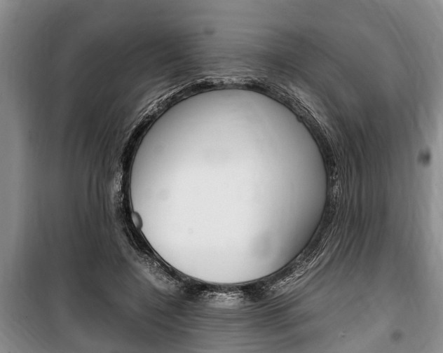 X0000100350548200806060803