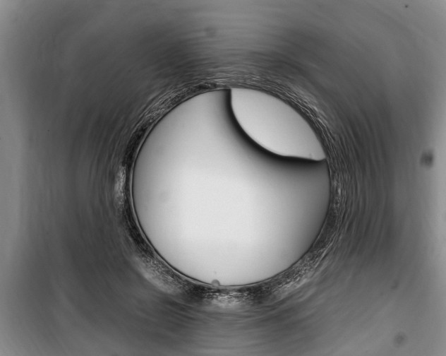 X0000100350550200806060803