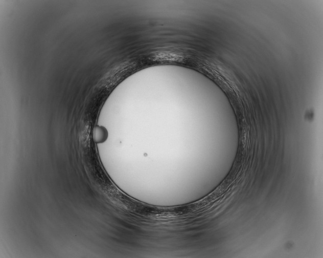 X0000100350551200806060803
