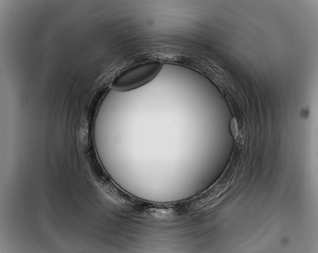 X0000100350552200806060803