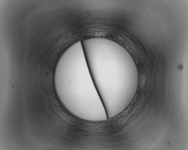 X0000100350553200806060803