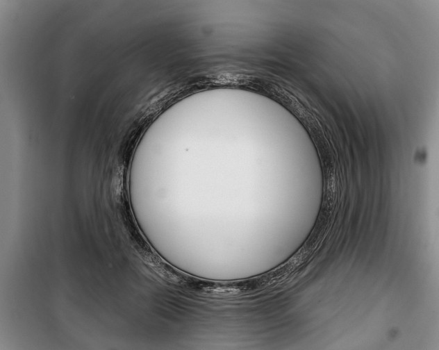 X0000100350554200806060803
