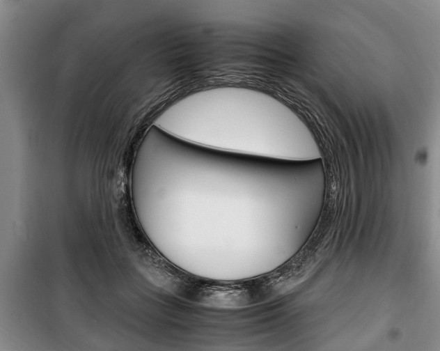 X0000100350555200806060803